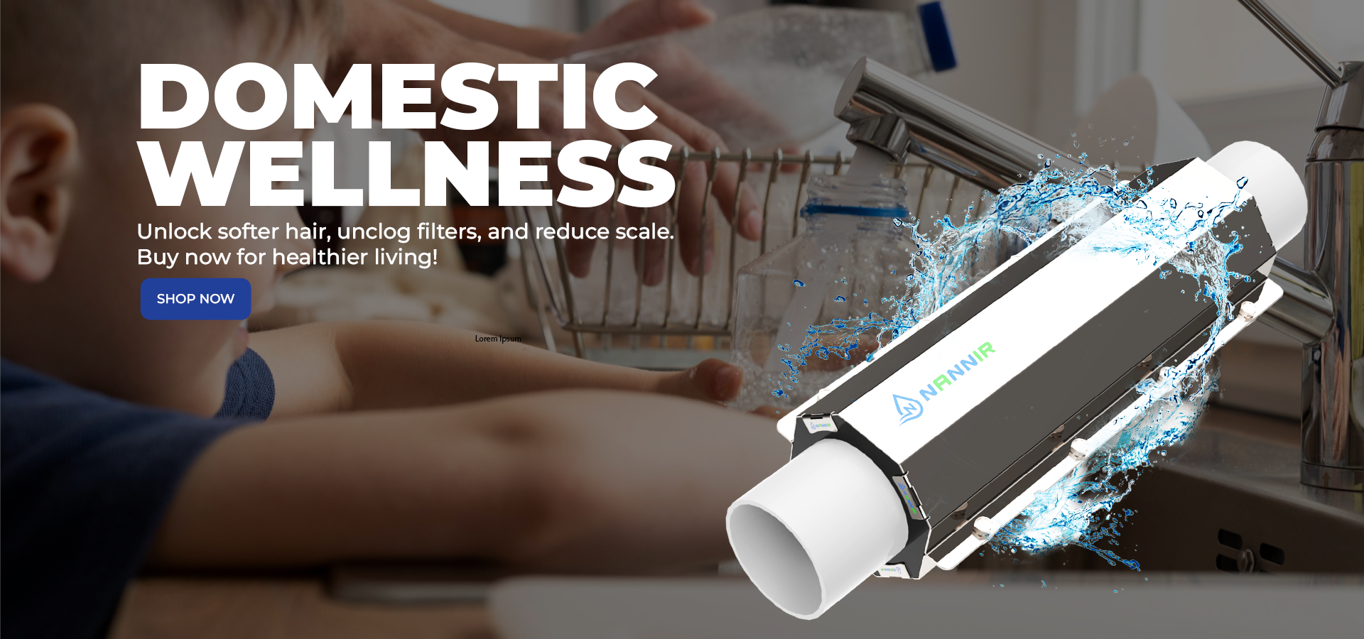 Domestic Wellness